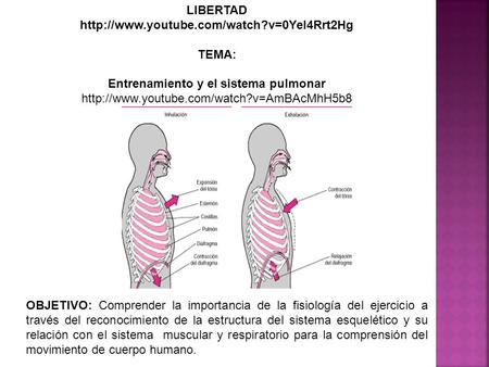 Entrenamiento y el sistema pulmonar