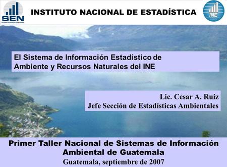 INSTITUTO NACIONAL DE ESTADÍSTICA El Sistema de Información Estadístico de Ambiente y Recursos Naturales del INE Lic. Cesar A. Ruiz Jefe Sección de Estadísticas.