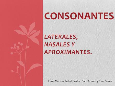 LATERALES, NASALES Y APROXIMANTES.