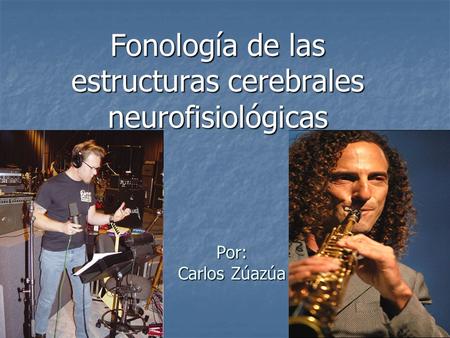 Fonología de las estructuras cerebrales neurofisiológicas