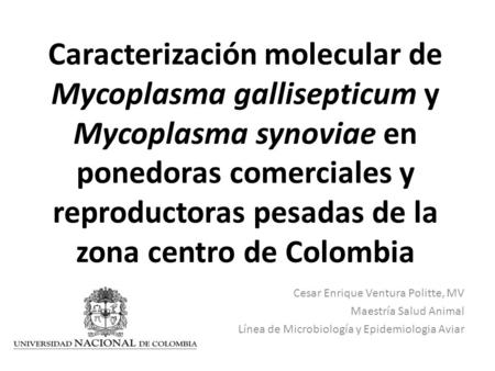 Caracterización molecular de Mycoplasma gallisepticum y Mycoplasma synoviae en ponedoras comerciales y reproductoras pesadas de la zona centro de Colombia.