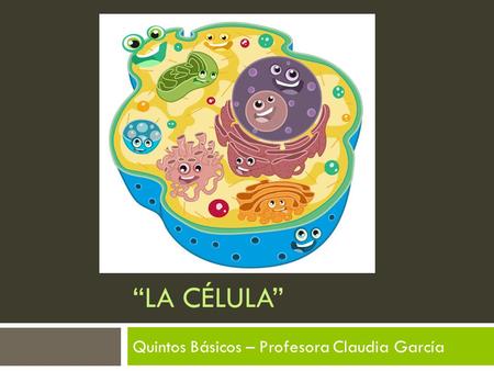 Quintos Básicos – Profesora Claudia García