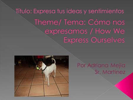 Theme/ Tema: Cómo nos expresamos / How We Express Ourselves