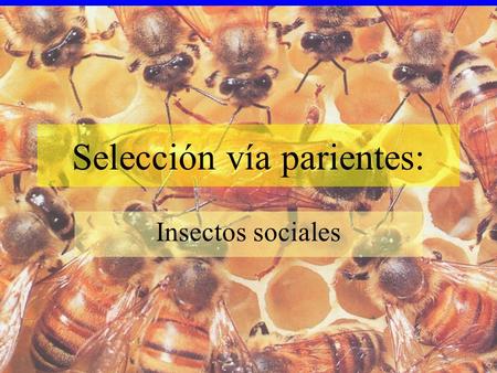 Selección vía parientes: