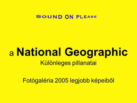 a National Geographic Különleges pillanatai Fotógaléria 2005 legjobb képeiből.