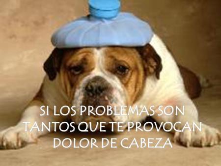 SI LOS PROBLEMAS SON TANTOS QUE TE PROVOCAN DOLOR DE CABEZA.