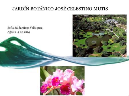JARDÍN BOTÁNICO JOSÉ CELESTINO MUTIS Sofía Saldarriaga Velásquez Agosto 4 de 2014.