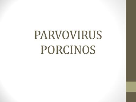 PARVOVIRUS PORCINOS.