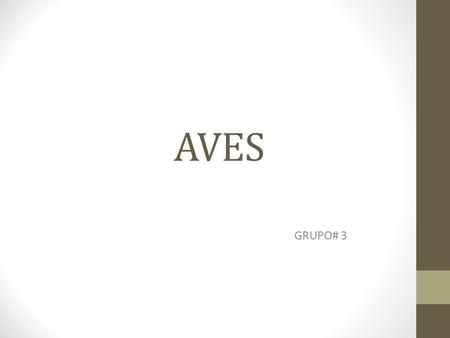 AVES GRUPO# 3.