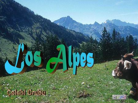 Los Alpes Çelebi Grubu.