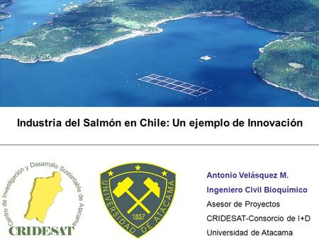 Industria del Salmón en Chile: Un ejemplo de Innovación