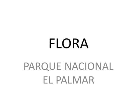 PARQUE NACIONAL EL PALMAR