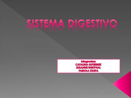 SISTEMA DIGESTIVO Integrantes: CATALINA GUTIERREZ SUSANNE WESTPHAL
