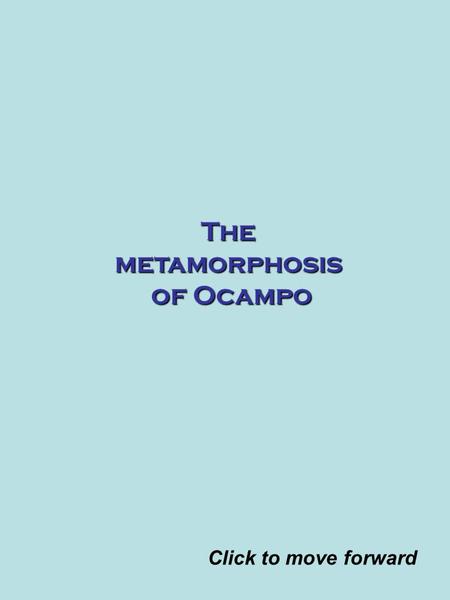 The metamorphosis of Ocampo Click to move forward.