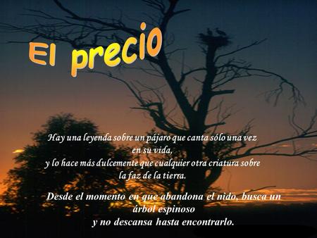 El precio                                               Hay una leyenda sobre un pájaro que canta sólo una vez en su vida, y lo hace más dulcemente que.