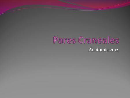 Pares Craneales Anatomía 2012.