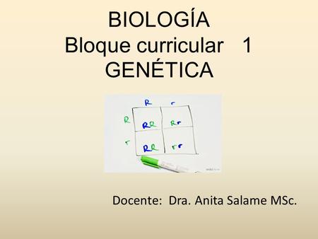BIOLOGÍA Bloque curricular 1 GENÉTICA
