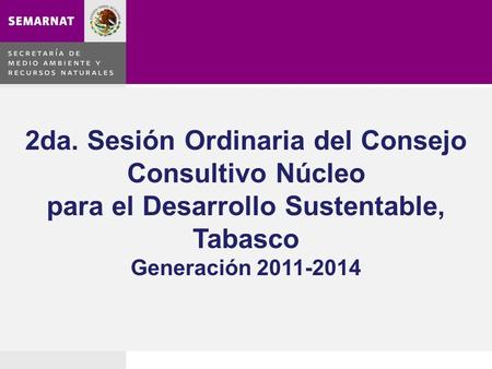 Estructura del Núcleo Estatal Funciones del Núcleo Estatal Elección dentro de los Núcleos Lineamientos diversos 2da. Sesión Ordinaria del Consejo Consultivo.