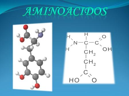 Como su nombre indica, es una molécula orgánica con un grupo amino (-NH2) y un grupo carboxílico (-COOH; ácido). Los aminoácidos más frecuentes y de mayor.