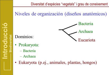 Niveles de organización (diseños anatómicos)