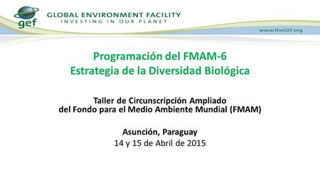 Programación del FMAM-6 Estrategia de la Diversidad Biológica
