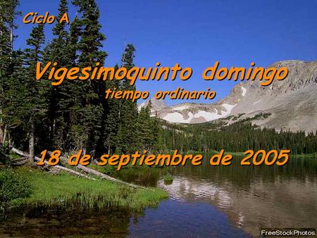 Ciclo A Vigesimoquinto domingo tiempo ordinario Vigesimoquinto domingo tiempo ordinario 18 de septiembre de 2005.