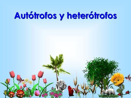 Autótrofos y heterótrofos