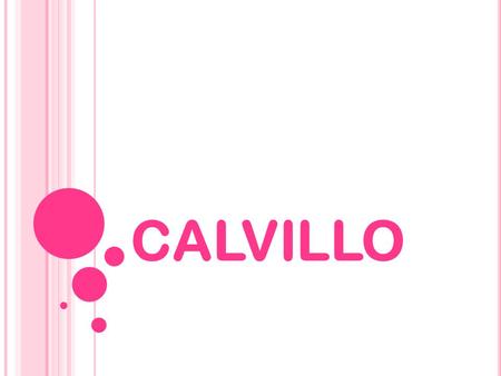 CALVILLO. Calvillo es un municipio del estado de Aguascalientes, ubicado en la parte sureste del territorio hidrocálido. Durante la época de la colonia.
