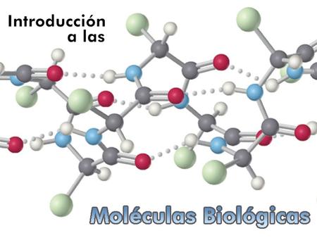 COMPOSICIÓN DE LA MATERIA VIVA EL ATOMO LA MOLECULA.