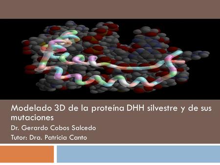 Modelado 3D de la proteína DHH silvestre y de sus mutaciones Dr. Gerardo Cobos Salcedo Tutor: Dra. Patricia Canto.