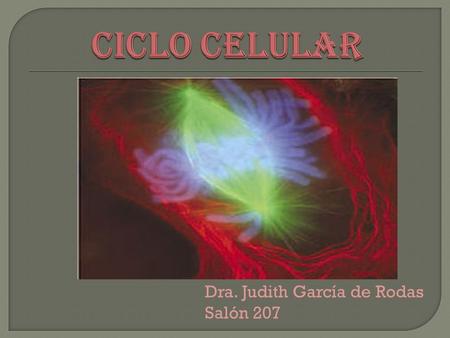 Dra. Judith García de Rodas Salón 207.  Toda célula procede de otra preexistente  La célula madre se divide en 2 células hijas, con similares características.