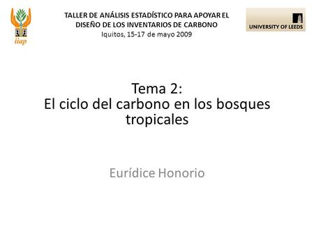 TALLER DE ANÁLISIS ESTADÍSTICO PARA APOYAR EL DISEÑO DE LOS INVENTARIOS DE CARBONO Iquitos, 15-17 de mayo 2009 Eurídice Honorio Tema 2: El ciclo del carbono.