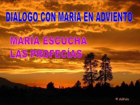 Te invito a sentir a María como la protagonista de este tiempo litúrgico, y a vivir la liturgia del adviento con la Madre del Verbo que espera. En el.
