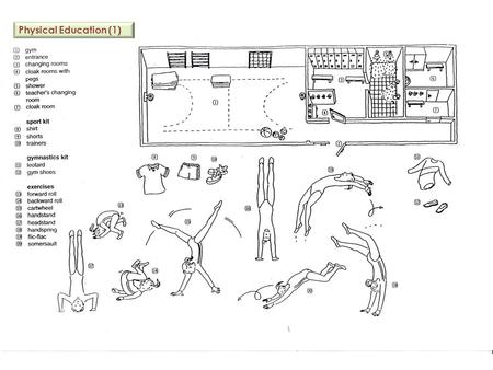 Physical Education (1). Physical Education (2) Physical Education (3)