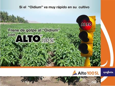 Ciproconazol es un: Triazol