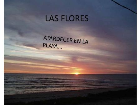 LAS FLORES Atardecer ATARDECER EN LA PLAYA... LAS FLORES.