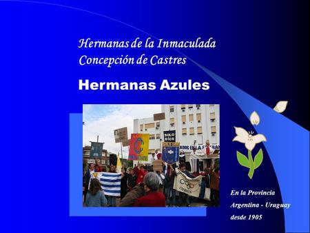 Hermanas de la Inmaculada Concepción de Castres Hermanas Azules