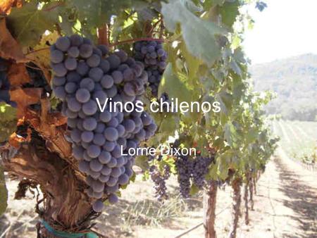 Vinos chilenos Lorne Dixon. Una historia breve Siglo XVI –Conquistadores –Misioneros Cultivados por curas Control español Vinos dulces Plaga filoxera.