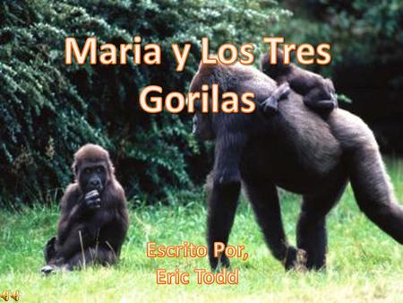 Maria y Los Tres Gorilas