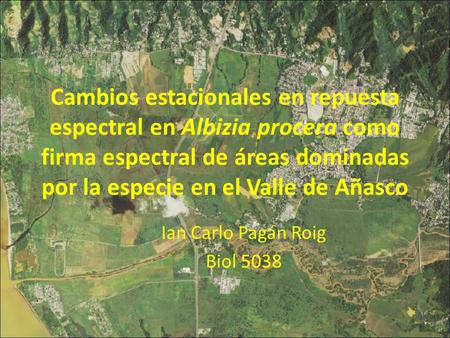 Cambios estacionales en repuesta espectral en Albizia procera como firma espectral de áreas dominadas por la especie en el Valle de Añasco Ian Carlo Pagán.