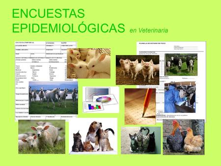 ENCUESTAS EPIDEMIOLÓGICAS en Veterinaria