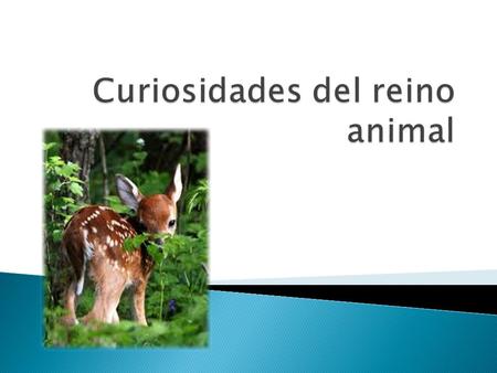 Curiosidades del reino animal