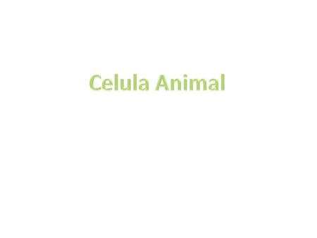 Celula Animal.