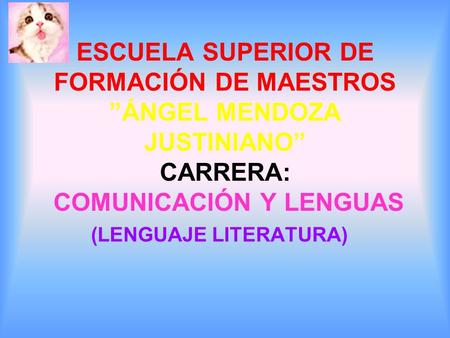 (LENGUAJE LITERATURA)