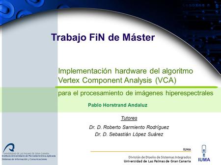 IUMA División de Diseño de Sistemas Integrados Universidad de Las Palmas de Gran Canaria Implementación hardware del algoritmo Vertex Component Analysis.