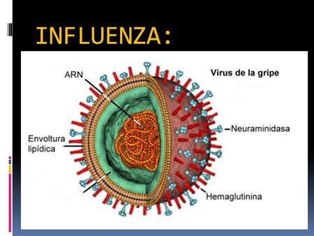 INFLUENZA:.
