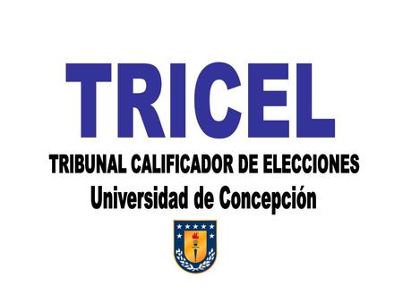Para votar: A cada persona se le entregarán dos votos para sufragar, en uno deberá elegir el Candidato a la MESA FEDERATIVA, que postula como Presidente,