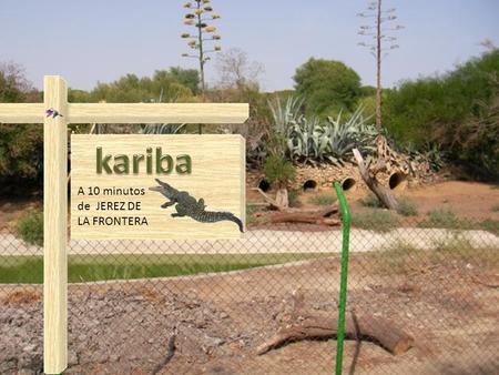 A 10 minutos de JEREZ DE LA FRONTERA Una granja atípica (UNICA DE EUROPA) Sobre una superficie de 9 hectáreas, Kariba es una granja dedicada a la cría.