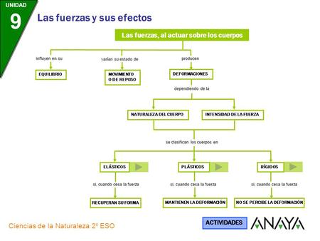 Las fuerzas, al actuar sobre los cuerpos