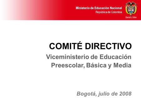 COMITÉ DIRECTIVO Viceministerio de Educación